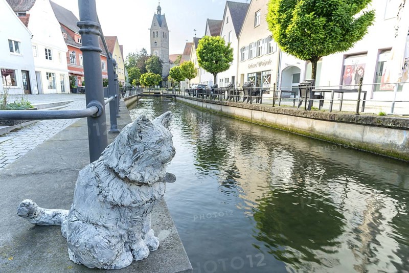 Bronze sculpture by Cornelia Brader: City tomcat Chicco at the city stream, behind it Our Lady's Church, Memmingen, Allgäu, Bavaria, Germany, Europe