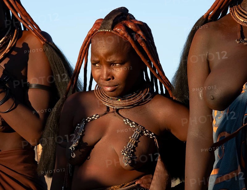 Traditional Himba woman, portrait, in the evening light, near Opuwo, Kaokoveld, Kunene, Namibia, Africa