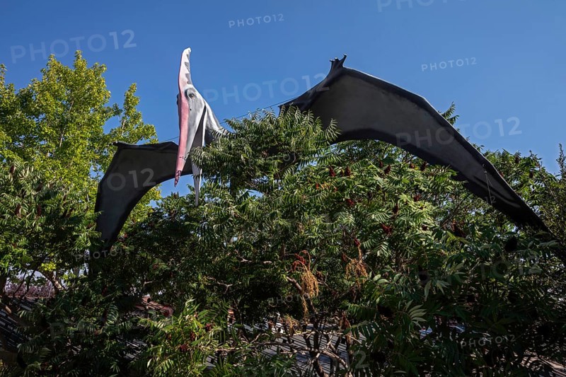 Vernal, Utah, The Utah Field House of Natural History State Park Museum displays dinosaur models, skeletons, bones, and fossils. A replica of a Pteranodon from the Cretaceous Period is displayed in the outdoor Dinosaur Garden