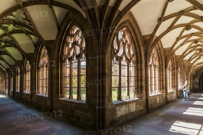 Cloister, Basel Minster, Basel, Canton of Basel-Stadt, Switzerland, Europe