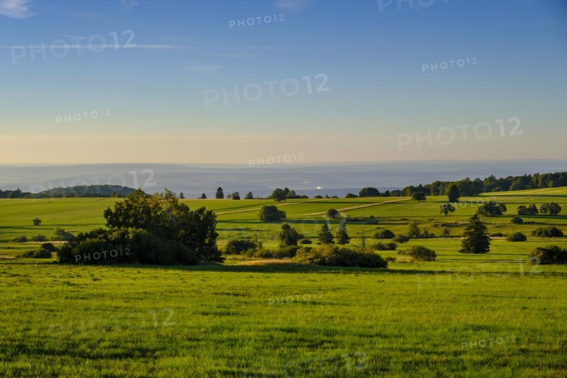 Juniper heaths, Hochrhönstraße, UNESCO biosphere reserve, near Hausen, Rhön, Bavarian Rhön, Rhön, Lower Franconia, Bavaria, Germany, Europe