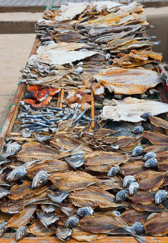 A wire rack with different types of dried fish on the beach, fish drying, Praia da Nazare beach, Nazaré, Oeste, Leiria district, Centro, Portugal, Europe
