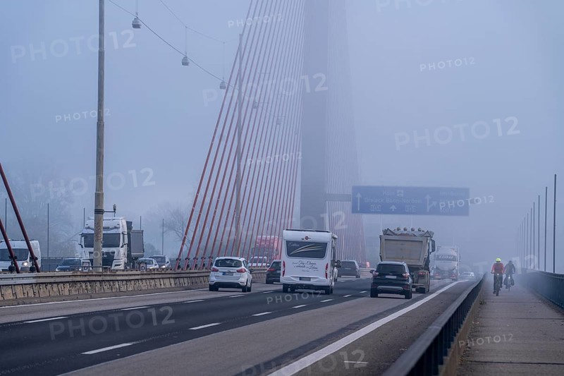 Friedrich-Ebert-Bridge over the Rhine near Bonn, also called North Bridge, motorway bridge of the A565, cable-stayed bridge, morning fog, North Rhine-Westphalia, Germany, Europe