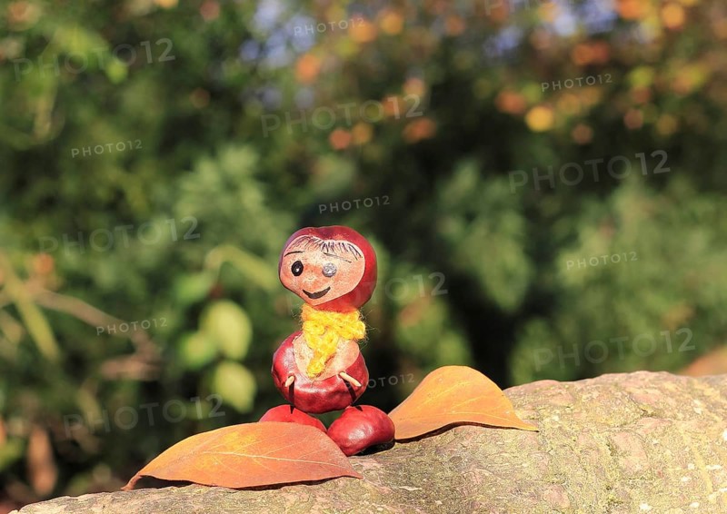 Chestnut figure with leaves on a tree trunk, North Rhine-Westphalia, Germany, Europe