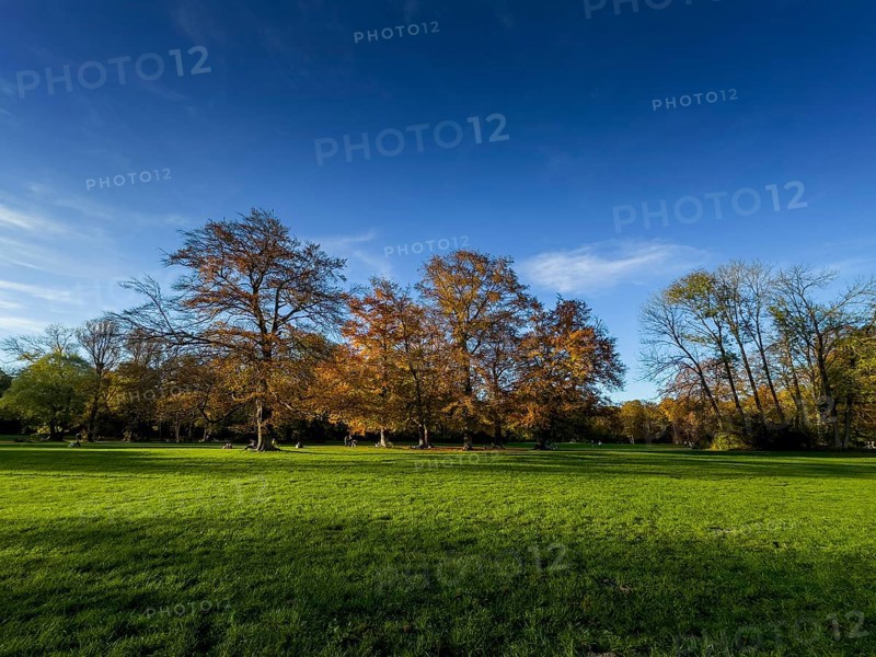Autumn atmosphere in the English Garden, Munich, Bavaria, Germany, Europe