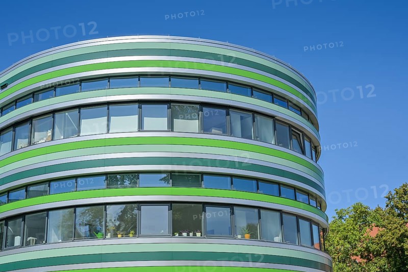 Green Amoeba, Humboldt University, Institute of Biology of the Faculty of Life Sciences, Rhoda-Erdmann-Haus, Philippstraße, Mitte, Berlin, Germany, Europe