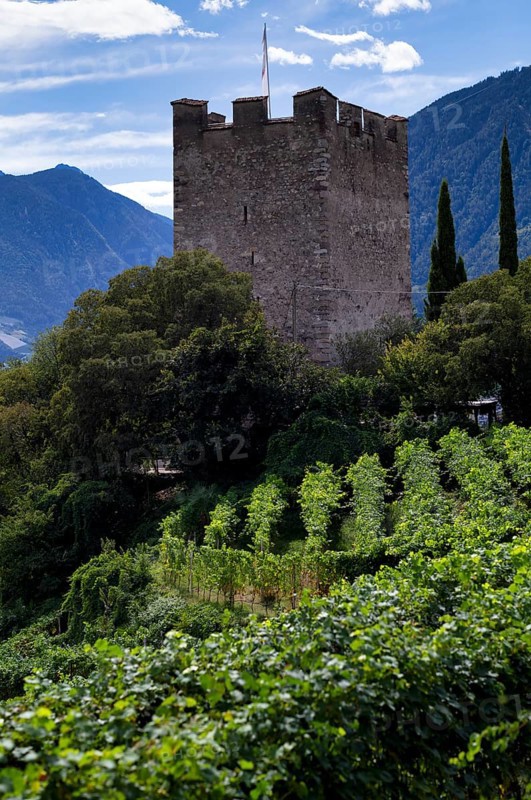 Powder tower between vines, wine-growing area, Tappeinerweg, Tappeiner promenade, high-altitude hiking trail, Merano, Meran, South Tyrol, Autonomous Province of Bolzano, Italy, Europe