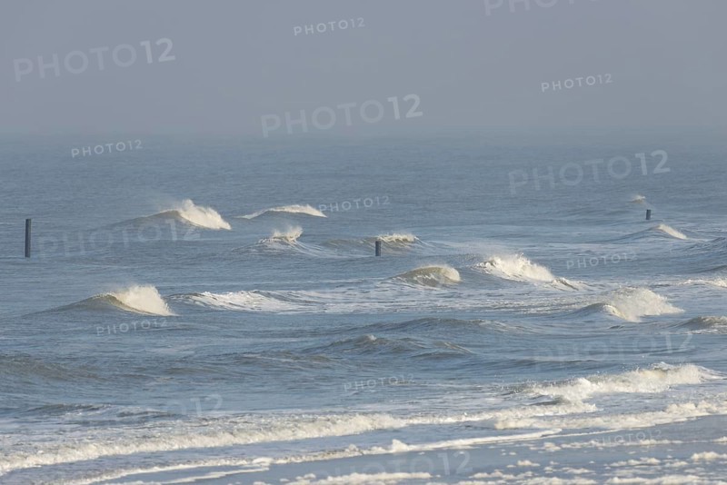 Outgoing waves on the northern beach, boundary piles, sea fog over the North Sea, Norderney, East Frisian Islands, Lower Saxony, Germany, Europe