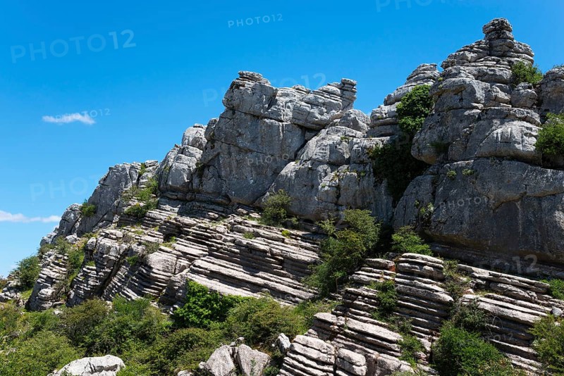 Rock layers and vegetation on a steep rock face under a bright blue sky, Karst Mountains, Torcal Alto, El Torcal de Antequera, Sierra del Torcal, Malaga, Andalusia, Spain, Europe