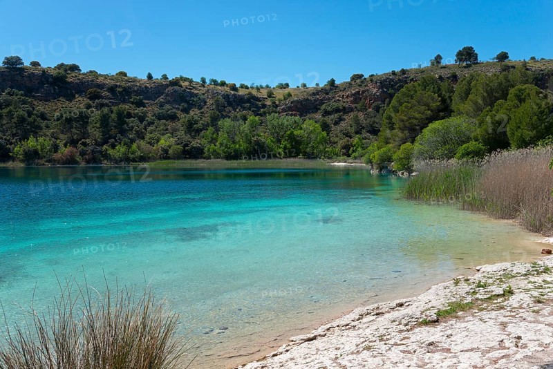 A calm lake with clear blue water, surrounded by green trees and rolling hills under a clear sky, Laguna Santo Morcillo, Lagunas de Ruidera National Park, Albacete province, Castilla-La Mancha, Spain, Europe