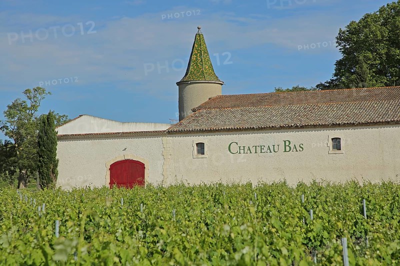 Winery Château Bas, Vernègues, vineyard, vineyards, Chateau, Vernegues, Bouches-du-Rhône, Provence, France, Europe