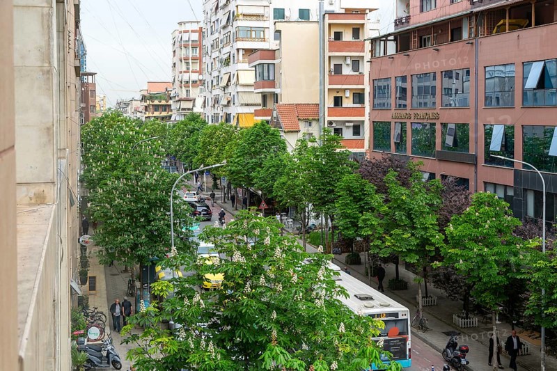 Looking down on treelined street vehicles traffic cars taxis buses in city centre of Tirana, Albania, Europe