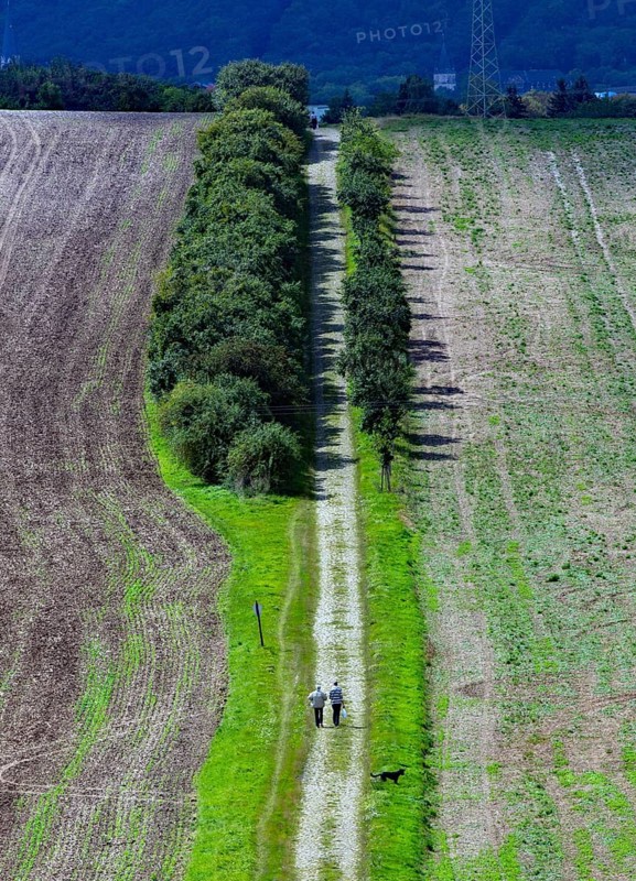 Tractor tracks on a harvested field, walker on a field path Neinstedt, 21/08/2014, Neinstedt, Germany, Europe