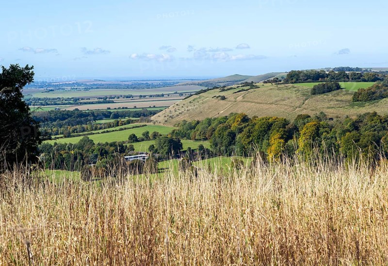 View over chalk scarp slope Vale of Pewsey, Pewsey Vale, Martinsell Hill, Oare, Wiltshire, England, UK, to Milk Hill