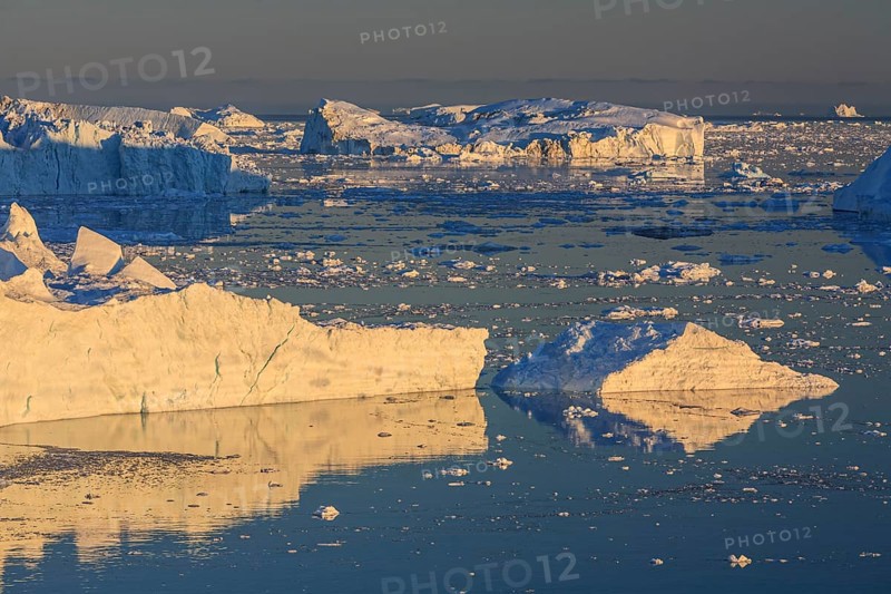 Icebergs and ice floes reflected in the water, summer, midnight sun, Jakobshavn glacier and ice fjord, Ilulissat Kangerlua, Disko Bay, West Greenland, Greenland, North America