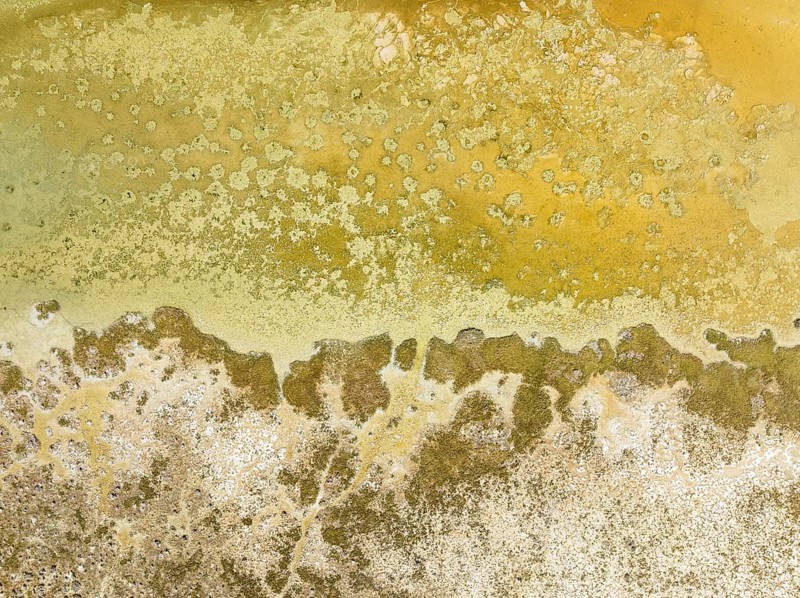 Detail of salt marshes near Sanlúcar de Barrameda. Aerial view. Drone shot. Cádiz province, Andalusia, Spain, Europe