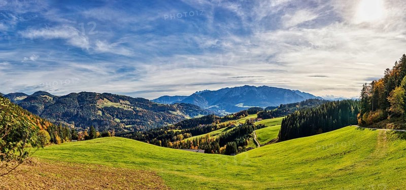 Wide green meadows against a mountain backdrop under a blue sky, Spitzstein