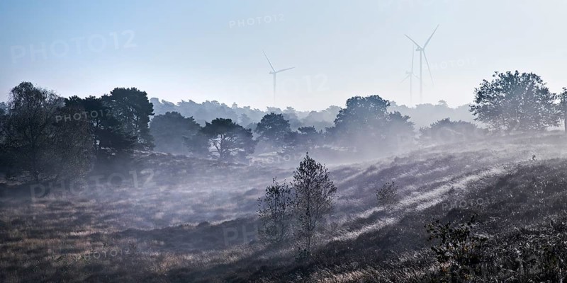 Landscape with wind turbines in the morning glow in autumn, Westruper Heide, Haltern am See, Ruhr area, North Rhine-Westphalia, Germany, Europe