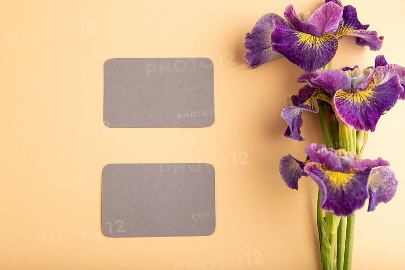 Gray business card with lilac iris flowers on orange pastel background. top view, flat lay, copy space, still life. Breakfast, morning, spring concept