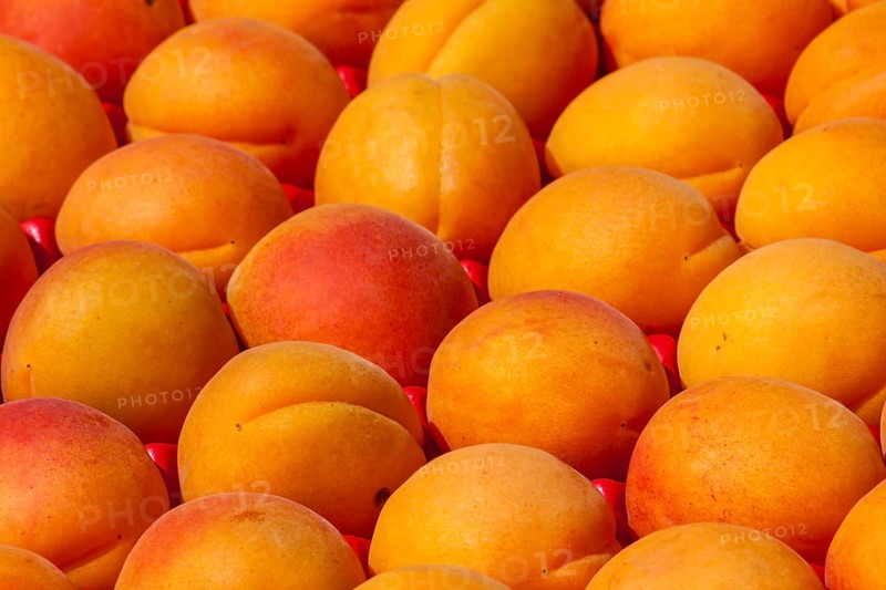 Apricots for sale on a market stall, Brittany, France, Europe