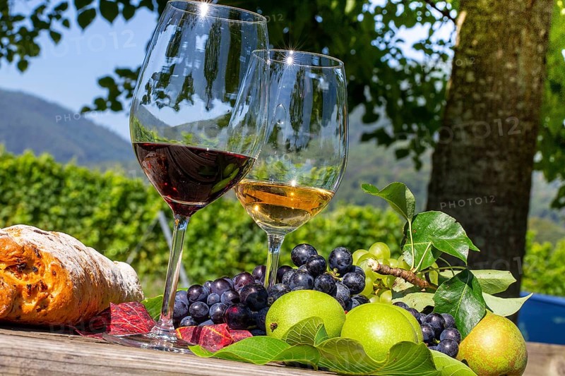 Symbolic image of the grape grape harvest: Ripe grapes decorated with wine glasses on a wooden table in the Palatinate