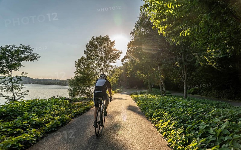 Cycling on Lake Baldeney, around 14 kilometres around the Ruhr reservoir, summer evening on the eastern shore, Essen, North Rhine-Westphalia, Germany, Europe