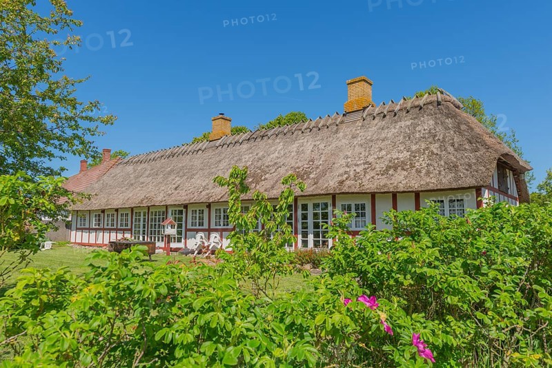 Island of Skarø, Skaroe, thatched half-timbered house, Danish South Sea, group of trees, idyll, Sydfyn, South Funen, Denmark, Europe