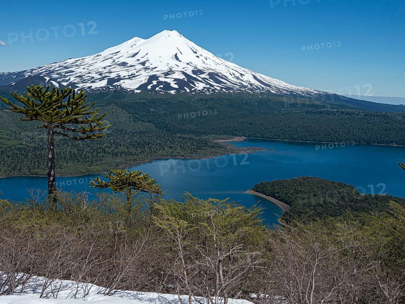 View from hiking trail Sierra Nevada, lake Conguillio, araucaria forest, volcano Llaima, Conguillio National Park, Chile, South America