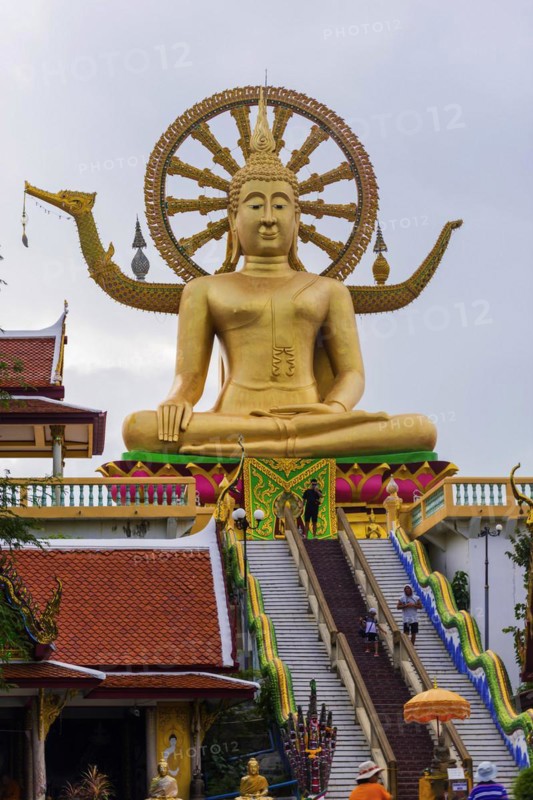 Sitting Buddha at Wat Phra Yai, Buddhist Temple, Big Buddha Temple, religion, Buddhism, figure, statue, sculpture, worship, God, sacred, world religion, spiritual, Buddha, Asian, deity, human figure, monument, sage, wisdom, image, religious, travel, tourism, art, history, cultural history, cult, icon, architecture, gold, golden, gilded, culture, peaceful, faith, monument, public, sitting, looking, Koh Samui, Thailand, Asia