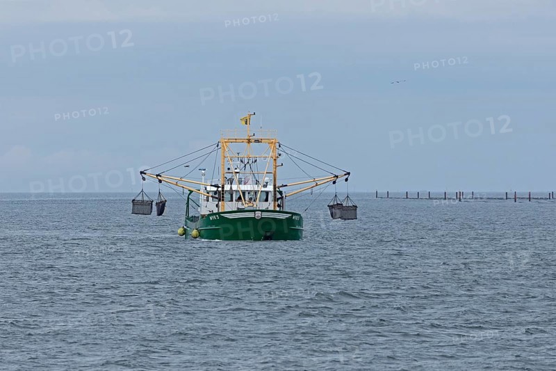 Mussel fisherman near Föhr, North Frisia, Schleswig-Holstein, Germany, Europe