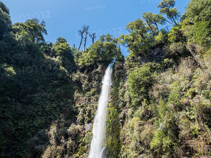 Waterfall Salto La China, valley of waterfalls east of Pucon, La Auracania, Chile, South America