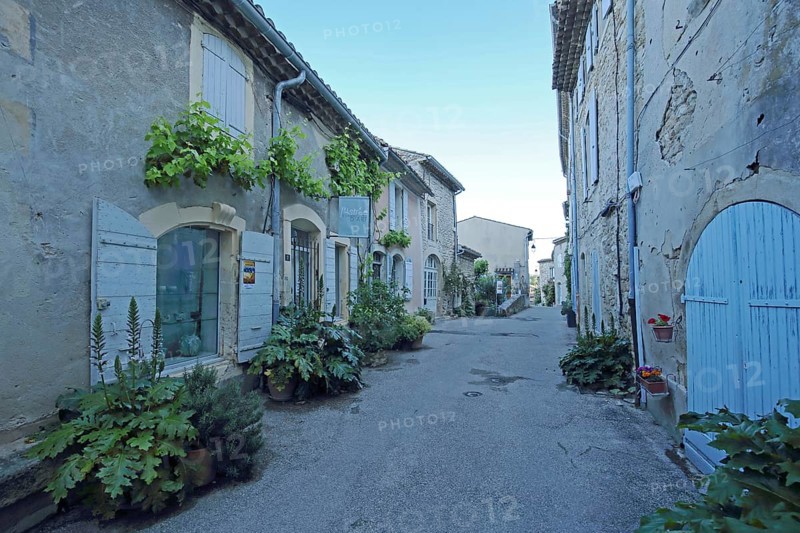 Idyllic alleyway with floral decoration and shutters, alley, blue, Grignan, Drôme, Tricastin, Provence, France, Europe