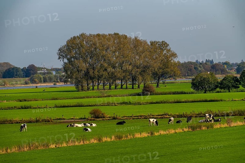 Lower Rhine landscape, dyke foreland near Grieth, North Rhine-Westphalia, Germany, Europe