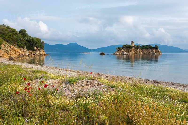 Picturesque beach with a view of an island in the calm sea, Nisiotissa beach, in the north of the island of Euboea, Central Greece, Greece, Europe