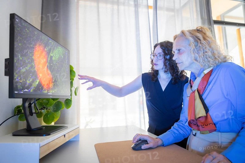 State Secretary Ines Fröhlich will visit four Saxon companies that represent the breadth of the local AI landscape as part of her theme day Artificial Intelligence Made in Saxony - Experience Innovation Up Close on 16 May 2024. Using artificial intelligence, the Dresden-based start-up uses the cloud-based software platform PAIKON to analyse medical image data in order to detect and classify cancer tissue, tumour cells or biomarkers. Sarah Schmell Data Scientist, Dresden, Saxony, Germany, Europe