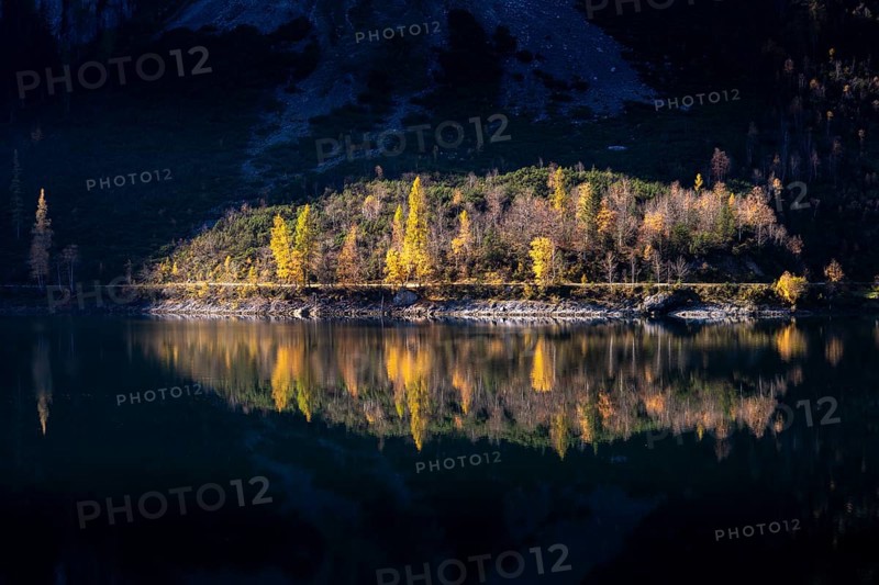 The Vordere Gosausee in autumn. Part of the path around the lake lies in the sun, the scene is reflected in the water. Trees in autumn leaves. Good weather. Vorderer Gosausee, Gosau, Gosau Valley, Salzkammergut, Upper Austria, Austria, Europe