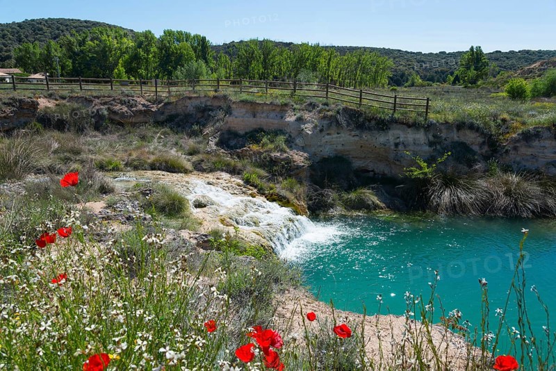 A waterfall flows into a turquoise-coloured lake, surrounded by blooming flowers and green vegetation under a clear sky, Lagunas de Ruidera National Park, Albacete province, Castilla-La Mancha, Spain, Europe