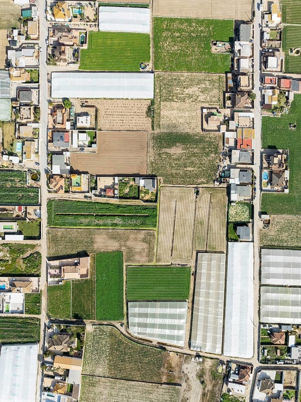 The semi rural district of La Algaida with its cultivated fields next to Sanlúcar de Barrameda. Aerial view. Drone shot. Cádiz province, Andalusia, Spain, Europe