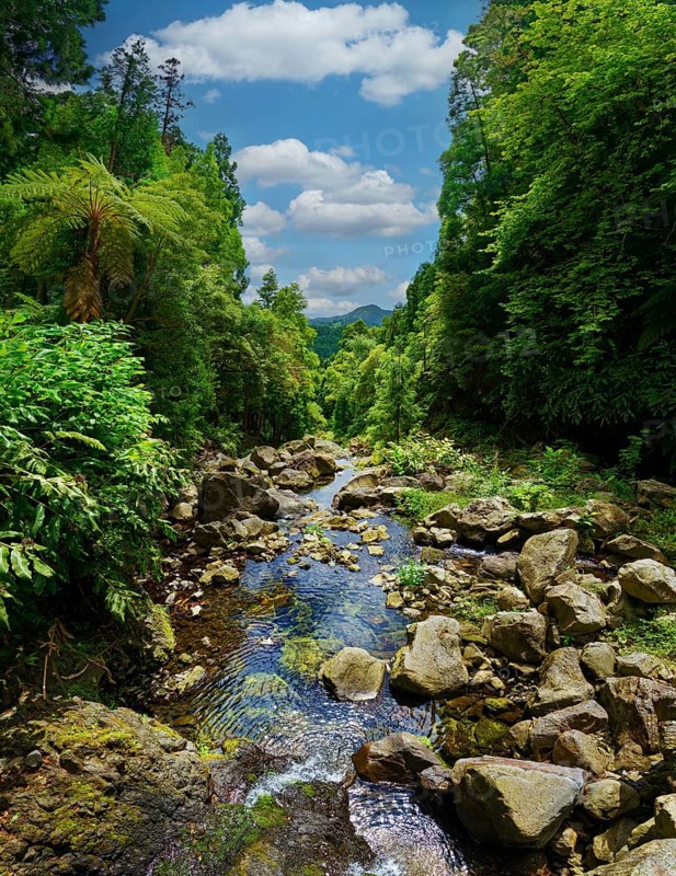 A calm stream flowing through a wooded area with large rocks and dense greenery, the sky is clear with few clouds, Grena Park, Furnas, George Hayes, Lagoa das Furnas, Sao Miguel Island, Azores, Portugal, Europe