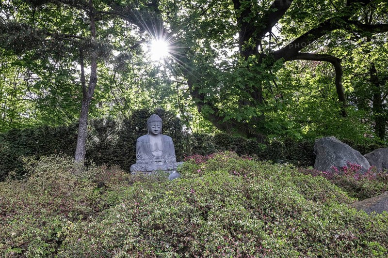 Japanese Garden, Bad Langensalza, Thuringia, Germany, Europe