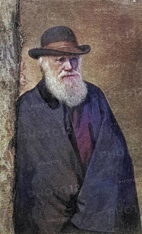 Charles Darwin, 1809, 1882, British naturalist. After a photograph (1881) by Mr Elliott and Mr Fry, Historic, digitally restored reproduction from a 19th century original, Record date not stated