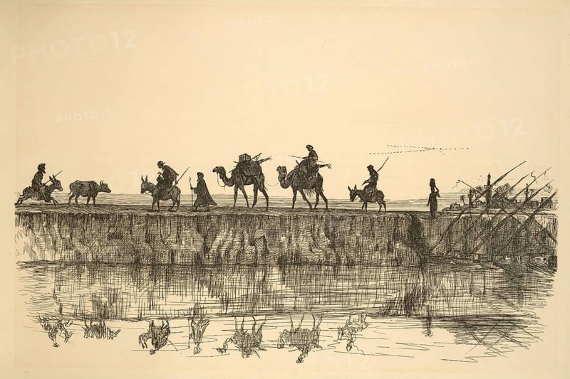 Camel Caravan beside the Nile, Alexandria, Egypt, Historical, digitally restored reproduction from a 19th century original, Record date not stated, Africa