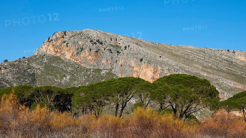 Rocky mountain landscape visible over treetops (Pineae), against a blue sky, Strofilia biotope, wetlands, Kalogria, Peloponnese, Greece, Europe