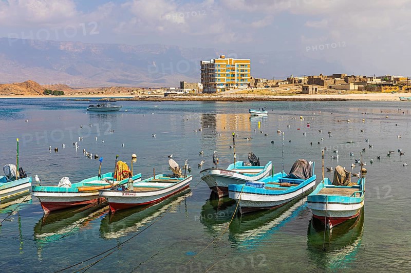 Fishing boats anchored in the harbour of Mirbat, Dhofar Province, Arabian Peninsula, Sultanate of Oman