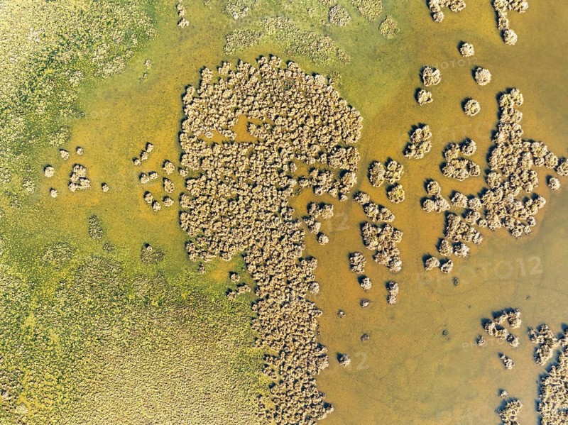 Detail of marshland near Sanlúcar de Barrameda. Aerial view. Drone shot. Cádiz province, Andalusia, Spain, Europe