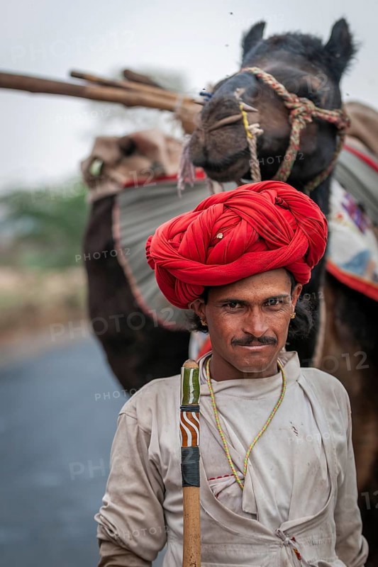 Man with red turban, nomadic caravan with camels, near Mandu, Madhya Pradesh, North India, India, Asia