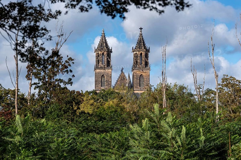 Magdeburg Cathedral, towers, densely overgrown area in front of it in Rotehorn City Park, Magdeburg, Saxony-Anhalt, Germany, Europe
