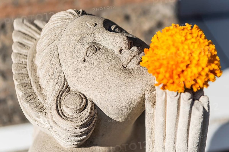Female temple figure, head, face, woman, calm, Hinduism, relaxation, wellness, female, serenity, facial expression, stone, stone figure, temple, religion, world religion, god, sculpture, art, culture, figurine, deity, icon, decoration, believing, faith, sculpture, fantasy, art figure, praying, representation, religious, journey, spirituality, traditional, blessing, meditation, mythology, sacred, Asian, decorated, abstract, wisdom, image, depiction, adorned, flower, tradition, Bali, Indonesia, Asia