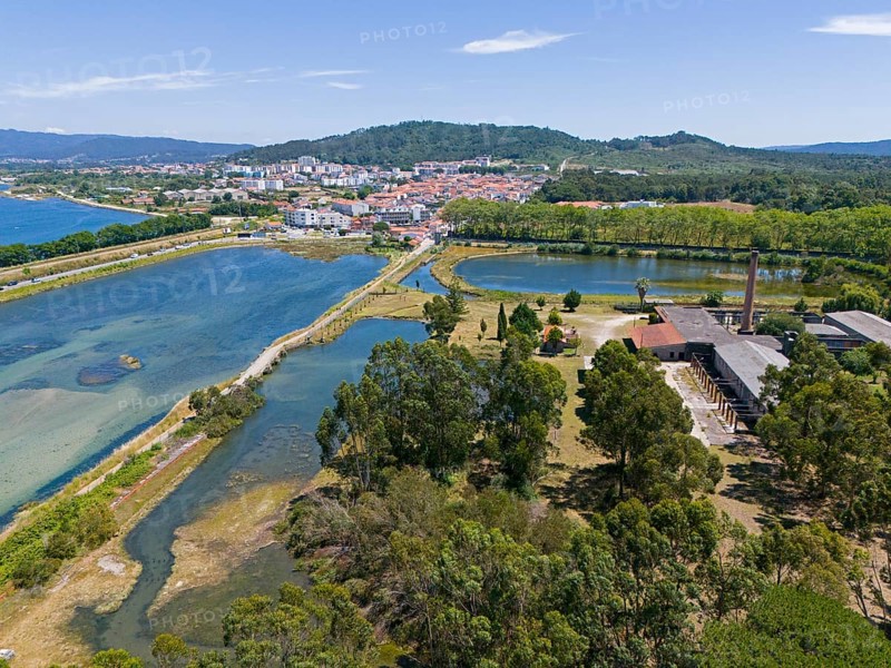 Aerial view of a peaceful natural environment with river, hills, forests and a small town in the background, aerial view, Lima River, Viana do Castelo, Portugal, Europe