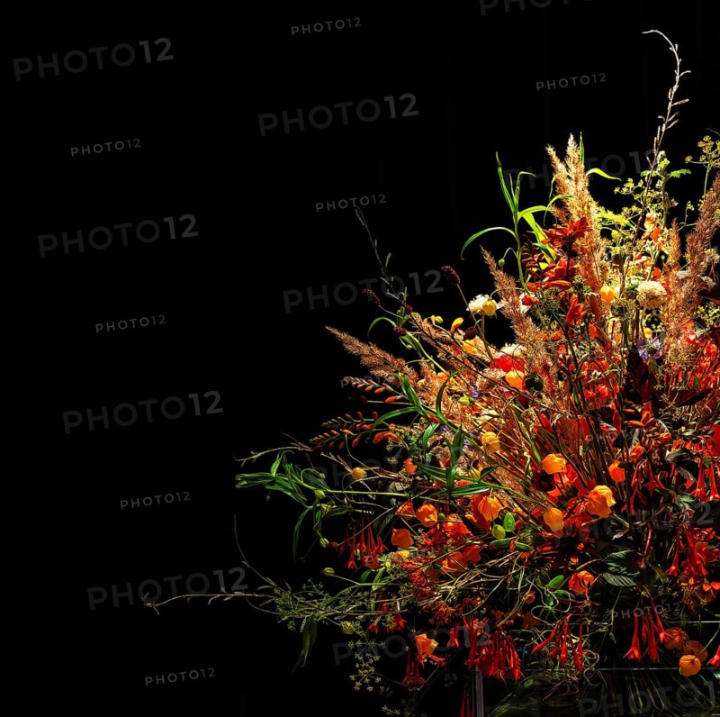 Artistic flower arrangements and decorations, German Floristry Championships, Berlin, Germany, Europe